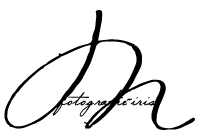 Webschmiede Referenz: Fotografie Iris Logo