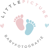 Webschmiede Referenz - LITTLE PICTURE Babyfotografie - Logo