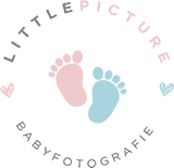 Das Logo von Little Picture Babyfotografie zeigt bunte Babyfüße und Herzchen, ideal für Fotoseiten.