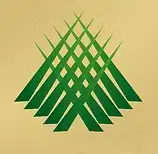 Grünes geometrisches Muster auf beigem Hintergrund, repräsentiert Webschmiede Web Agentur in Oberwart, Burgenland.