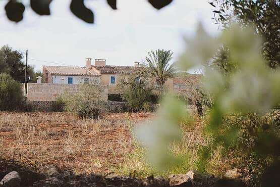 Blick auf ein ländliches Haus umgeben von Bäumen, dargestellt als idyllische Landschaft mit mediterranem Flair.
