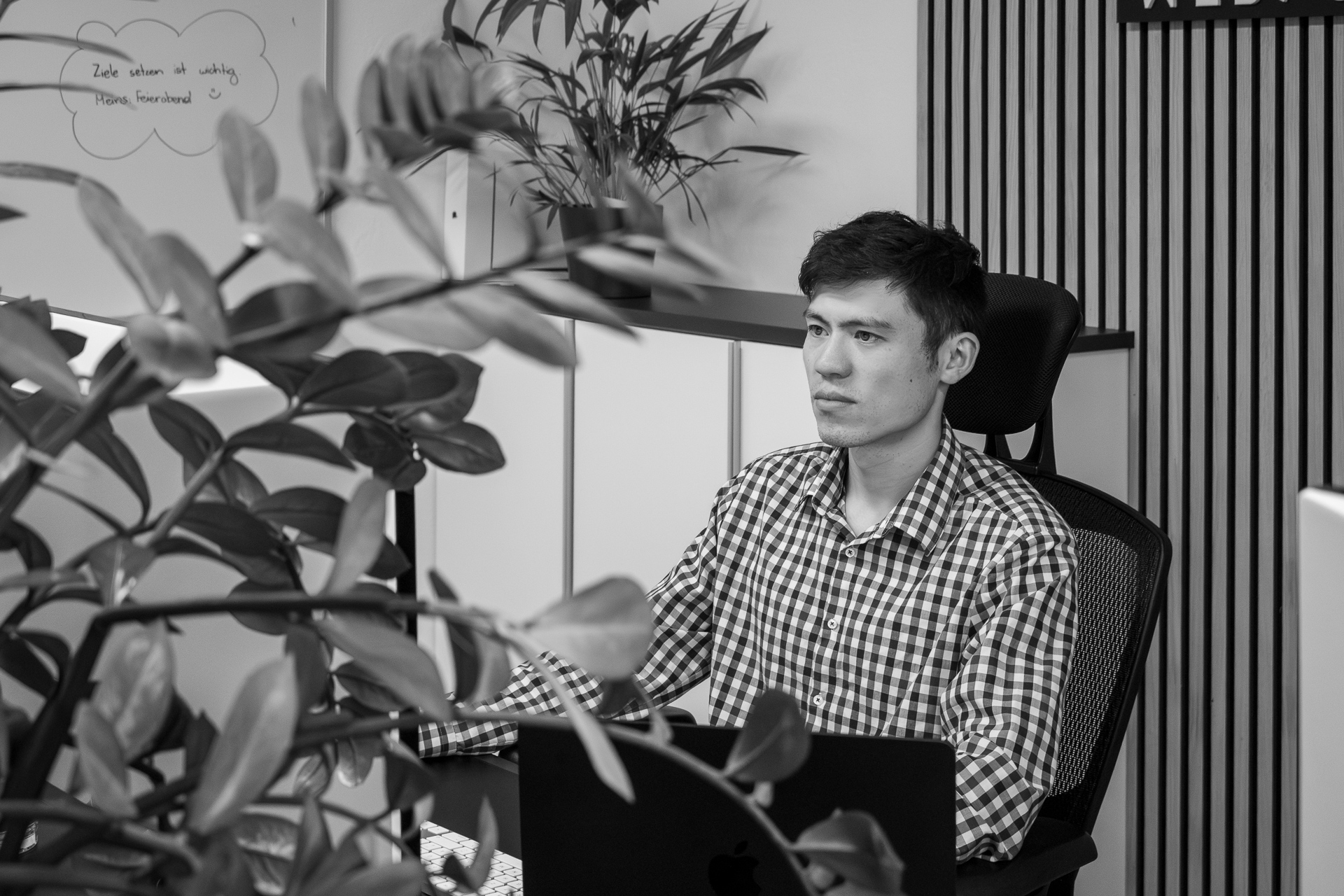 Mitarbeiter der Webschmiede Webdesign Agentur arbeitet konzentriert am Computer in modernem Büro mit Pflanzen und Whiteboard im Hintergrund.